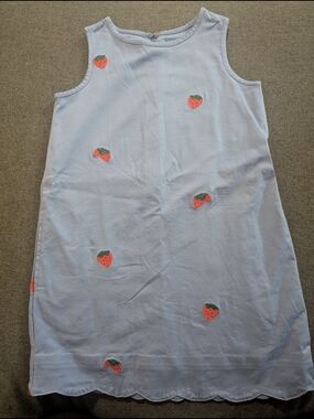 Classic Prep Light Blue Strawberry Embroidered Girls' Casual Dress